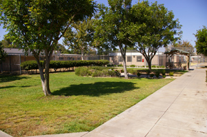 Las Colinas Detention Facility